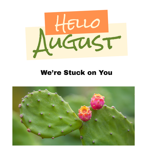 Stuck On You Box