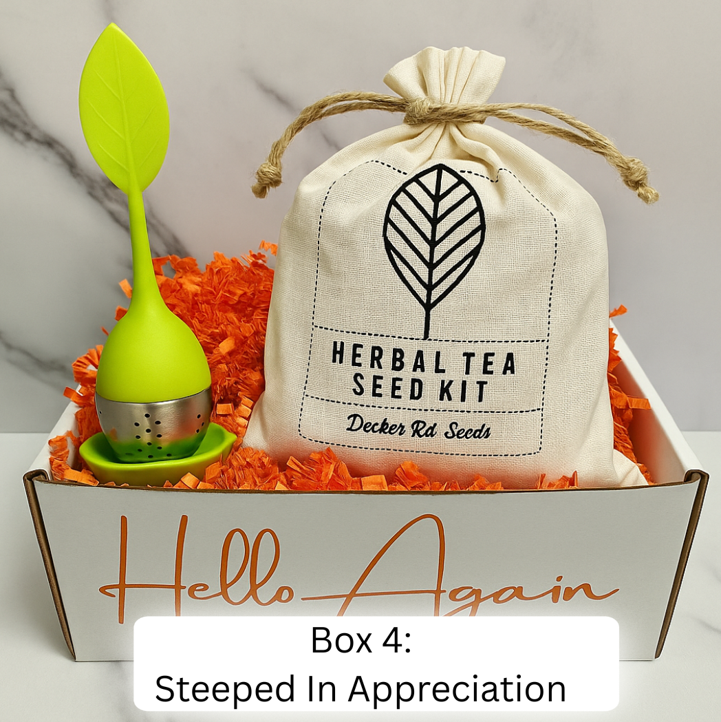 Business Brilliance - 15 Boxes/Month